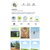 Campaign for one of Europe's rarest mammals Ein Projekt aus dem Bereich Digitales Design, Grafikdesign, Instagram, Marketing und Social Media von caprimulga - 10.09.2025