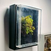 My journey to Plant Art. Un proyecto de Comunicación, Marketing de contenidos, Cop, writing, Marketing, Stor y telling de Connor Musoke-Jones - 11.09.2025