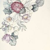 Catarina en la naturaleza . Ilustrasi tradisional, Ilustrasi Naturalistik, Dan Lukisan Cat Air proyek oleh Maria Hernandez - 09.11.2025