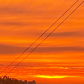 Culiacán en primera persona. Narrativa, Marketing, Fotografia, Design, Artes plásticas, e Pintura projeto de Elizabeth Camargo - 14.09.2025