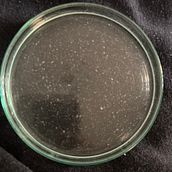 Bioglitter . Arte și meșteșuguri și DIY de emma_gulli_27 - 09.14.2025
