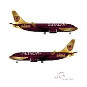 Diseño Gráfico Avión La Vinotinto. Un proyecto de Diseño gráfico de Jennifer Galviz - 17.09.2025