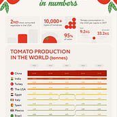 Tomatoes in numbers. Un projet de Infographie , et Design de l'information de katranoo - 17.09.2025