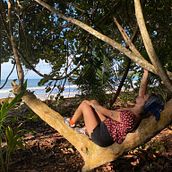 Plantsintrouble. Communication project by Michelle Rodriguez - 09.19.2025