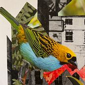 Natureza selvagem. Un progetto di Collage, Scrittura di narrativa non-fiction e Scrittura creativa di Marina Monteiro - 23.09.2025