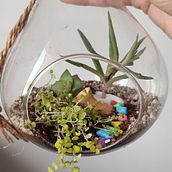 Terrario de Interior. Decoration, Interior Design, DIY, L, scape Architecture, Floral, and Plant Design project by Vanessa Nicole Campaña García - 09.23.2025