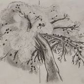 Dibuixos fotogràfics. Un proyecto de Ilustración tradicional y Dibujo de annaatw - 27.09.2025