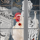 The Window of Desires. Digital Illustration, Digital Design, and Collage project by Hüma Özay - 09.30.2025