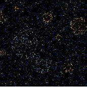 Los campos estrellados. Un proyecto de Programación, Desarrollo Web y Animación 2D de CJ Cepe - 30.09.2025