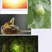 A Gruffalo quote with fairy tale illustration. Ein Projekt aus dem Bereich Kalligrafie, Digitales Lettering, Grafikdesign, Lettering, T, pografie, T, pografisches Design, Zeichnung, Design und Digitales Marketing von Cher Cowan - 01.10.2025