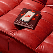 Bendito. Br, ing, Identit, Design, Digital Design, Logo Design, Stationer, and Design project by Gustavo Lima & Co. - 10.02.2025