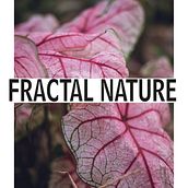 Fractal Nature . Un proyecto de Br, ing e Identidad, Diseño, Diseño gráfico, Diseño de logotipos y Tipografía de Daniela Castro - 03.10.2025