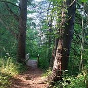 Landscape painting in oil . Arte plastice, Pictură în ulei și Pictura de sparklep - 10.07.2025