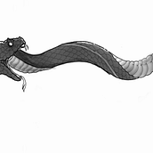 Gargantilla de serpiente . Un progetto di Disegno digitale, Illustrazione digitale, Disegno, Illustrazione tradizionale e Design di tatuaggi di Daigo - 09.10.2025