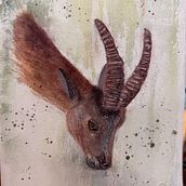 Steinbock in Aquarell – Vom Sehen zum Fühlen. Desenho realista, Ilustração tradicional, Ilustração naturalista, e Pintura em aquarela projeto de Barbara Liechti - 10.10.2025