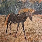 Rysunki kredkami.. Un projet de Dessin artistique, Dessin, Beaux Arts, Illustration traditionnelle, Dessin au cra, on, Carnet de croquis , et Esquisse  de Patrycja Turek - 10.10.2025