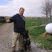 don't Panic were here with 20 yrs expereince to help with your dog. Communication, Creative Consulting, Stor, and telling project by Robb Kilpatrick - 10.11.2025