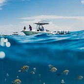 SIMRAD | Marine navigation . Writing, Cop, and writing project by Darren Crew - 10.11.2025