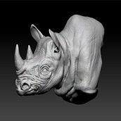 Rhino Bust. Projekt z dziedziny  Modelowanie 3D użytkownika Ollie Walsh - 16.10.2025