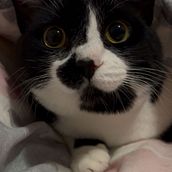 Cultura Audiovisual: Textures . Fotografi proyek oleh luci - 10.17.2025