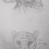 Proyecto final. Un projet de Dessin, Dessin au cra, on, Design  et Illustration traditionnelle de dafoolishfoolisher - 17.10.2025