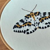 Projeto final do curso Bordado em miniatura: crie joias têxteis. Embroider, Jewelr, Design, and Textile Design project by Marina Gonçalves - 10.18.2025