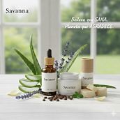 Savanna . Dezvoltare web, Design web, Comerț electronic, Marketing digital și Afaceri de Maria Eduarda Quishpe García - 10.20.2025