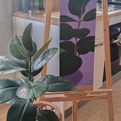 PLANTAS DE CASA. Fine Arts, Traditional illustration, Painting, Acr, lic Painting, and Botanical Illustration project by Marta Di Nisio - 10.20.2025