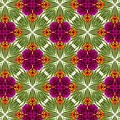 Color Palettes for Vibrant Patterns. Digital Illustration, Traditional illustration, Vector Illustration, Color Theor, and Pattern Design project by yasmeensousa - 10.21.2025