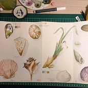 [Propio] Acuarela marina. Een project van Traditionele illustratie,  Tekening, Schilderij y Aquarelschilderen van Casandra Riera Ribas - 22.10.2025