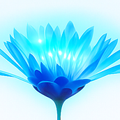 Libro: El Jardín de la Consciencia . % Sergio Varela tarafından hazırlanan Hika, e anlatımı, Anlatı, Ve Yazma projesi - 10.23.2025