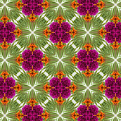 Illustration For Patterns With Soul. Printing, Traditional illustration, Vector Illustration, Pattern Design, and Color Theor project by yasmeensousa - 10.24.2025