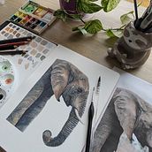 Ilustracion en acuarela Vida Salvaje PF. Projekt z dziedziny  Sztuki piękne, Ilustracja naturalist, czna,  Malarstwo i Malowanie akwarelą użytkownika silvana1912 - 26.10.2025