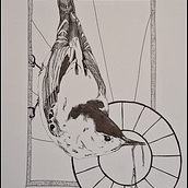 Nuthatch. Un progetto di Disegno, Illustrazione con inchiostro, Illustrazione naturalistica e Disegno a matita di katieloney - 26.10.2025