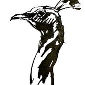 A quick ink sketch of a bird's head using a cola pen. Drawing, Sketching, and Sketchbook project by Maryna Shkoliar - 10.27.2025