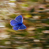 Todos temos histórias a serem contadas  Ein Projekt aus dem Bereich Kommunikation, Content-Marketing, Cop, writing, Marketing, Stor und telling von Lucas Amaral Silva - 28.10.2025