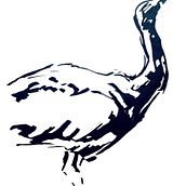 Creating a quick ink sketch of a bird using the cola pen technique.. Drawing, Sketching, and Sketchbook project by Maryna Shkoliar - 10.28.2025