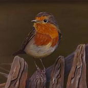 Guardián de la cerca. Fine Arts, Naturalistic Illustration, Oil Painting, and Painting project by Elena Bartolomé - 10.30.2025