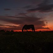 Descubriendo mi entorno . Un proyecto de Fotografía con móviles, Instagram, Fotografía para Instagram, Fotografía Lifest y le de Sofia Silveira - 03.11.2025