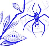 Elu - La araña que no era como las demas. Character Design, Children's Illustration, Children's Literature, Content Writing, Creative Writing, Digital Illustration, Drawing, Fine Arts, Picturebook, and Writing project by Josefina Cabrera - 11.05.2025