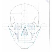 Proyecto de Dibujo Anatómico para Principiantes. Projekt z dziedziny  Sztuki piękne,  R, sunek, R, sunek ołówkiem, R, sunek realist, czn, R, sunek anatomiczn i Sketching użytkownika Cami Piscis Halite - 05.11.2025