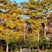 Golden Hour. Een project van Fotografische compositie, Fotografie y Digitale fotografie van Daniel Ponce - 07.11.2025