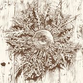 CARDELINA . % Adán Aryas tarafından hazırlanan Geleneksel illüstras, on, Çizim, Güzel sanatlar, Tablo, Kalem Çizimi, Mürekkep İllüstras, onu, Doğalcı İllüstras, on, Botanik İllüstras, on, Gerçekçi Çizim, Ve Çiçek ve Bitki Tasarımı projesi - 11.07.2025