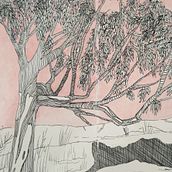 Sardegna albero. Drawing, Sketchbook, Ink Illustration, and Naturalistic Illustration project by Chiara Baldinelli - 11.07.2025