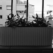 C.A. Sèrie fotogràfica de geometria . Fotografie și Fotografie de artă plastică de Sarah Rondón - 11.10.2025