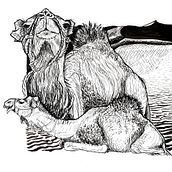 Dromadaires à l'encre. Drawing, Ink Illustration, Naturalistic Illustration, and Sketching project by p_m_guinchard - 11.15.2025