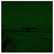 The Matrix Idea. Digital Illustration project by Alex Mkwizu - 11.16.2025