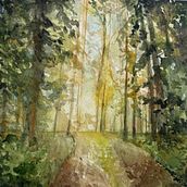 A study in light in the forest. Painting, and Watercolor Painting project by Lisa Dunn - 11.17.2025