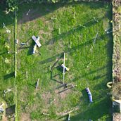 Air Agility Dog. Een project van Fotografie,  Video y Buitenfotografie van davide_calderoni - 19.11.2025