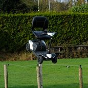 Walking the Block. Photographic Composition, Photograph, and Digital Photograph project by johanna_schumacher - 11.20.2025